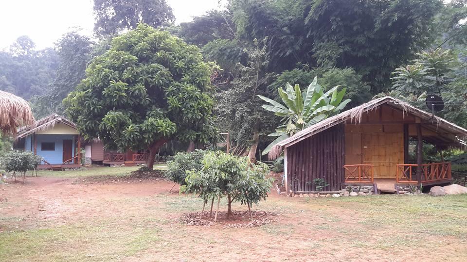 Doo-Dao-Doi Farm & Stay Chiang Dao Zewnętrze zdjęcie