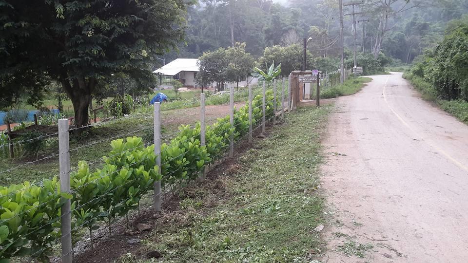 Doo-Dao-Doi Farm & Stay Chiang Dao Zewnętrze zdjęcie
